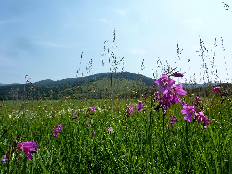 PETELINJSKO JEZERO.JPG