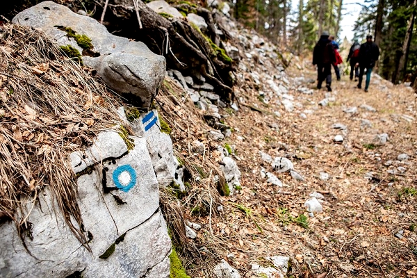 UNESCO BUCHENURWÄLDER