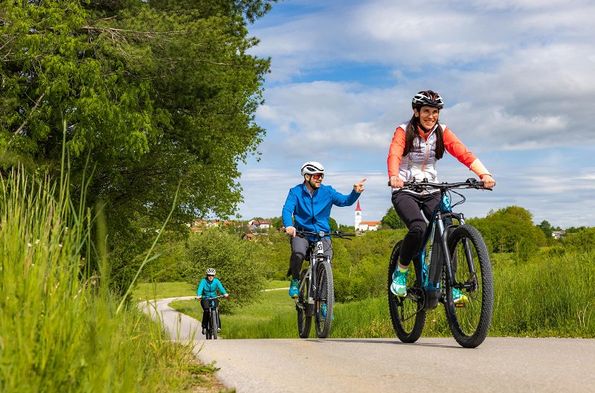 Bici elettriche Ilirska Bistrica