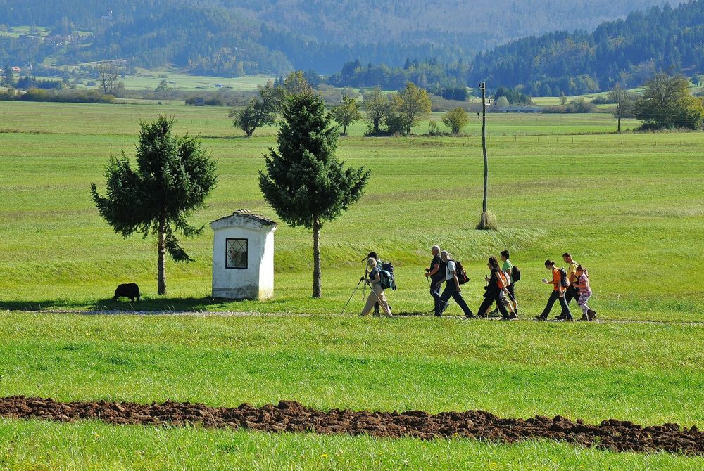 Skupina pohodnikov hodi po travniški poti skozi Loško dolino, obdano z zelenimi polji, drevesi in gozdnatimi hribi v ozadju.